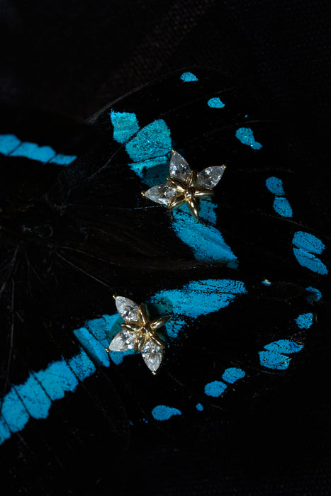 Hoya Bella Diamond Stud Earrings