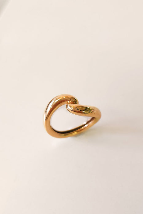 Ouroboros Ring