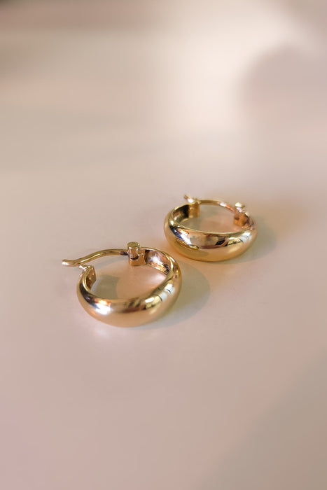 Chunky Hoop Earrings (Small)
