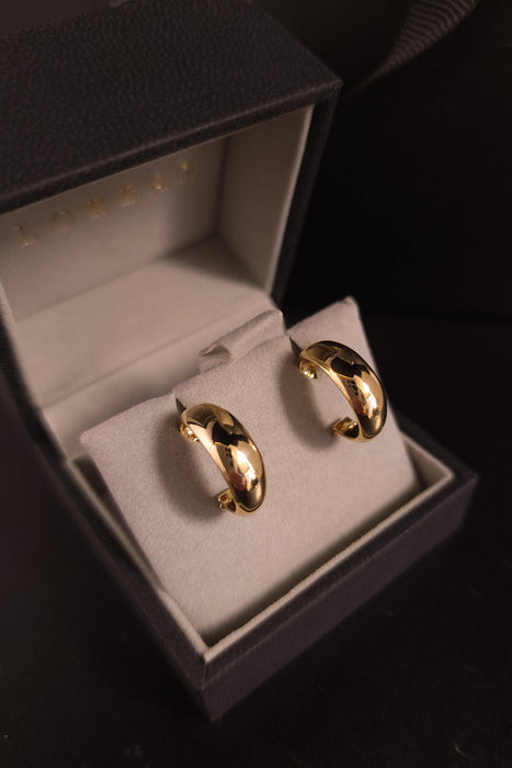 Chunky Hoop Earrings (Small)